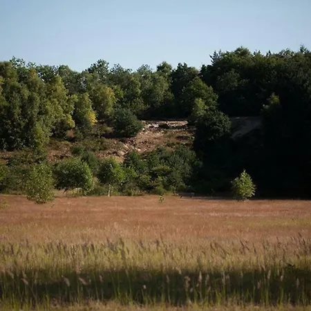Nette Vakantie Woning Aan De Rand Van De Bossen Van Casa de Férias *