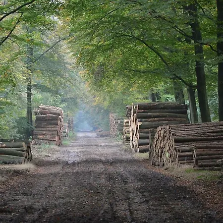 Nette Vakantie Woning Aan De Rand Van De Bossen Van